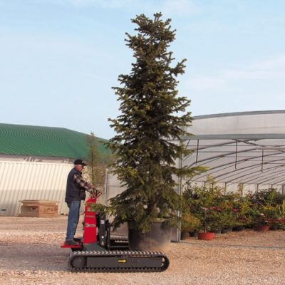 Bomen verplaatsen met een Hinowa TP1600 rupsheftruck van Safety Lift.